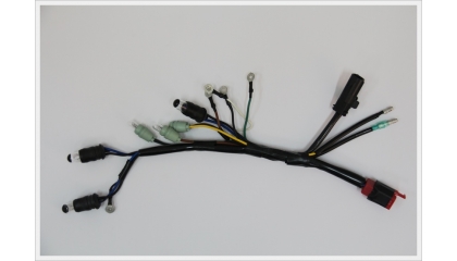 All kinds of Cord _0011