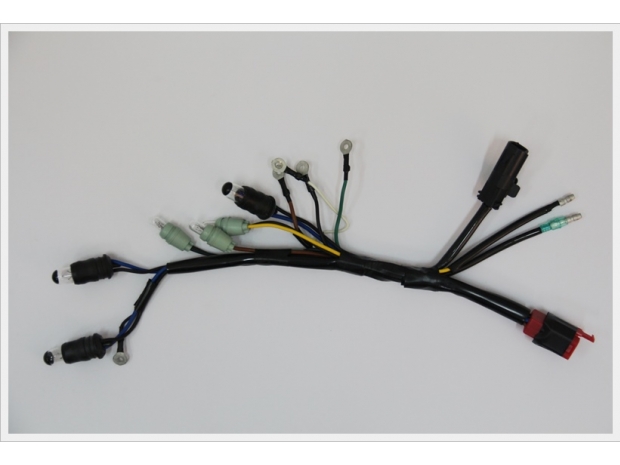 All kinds of Cord _0011