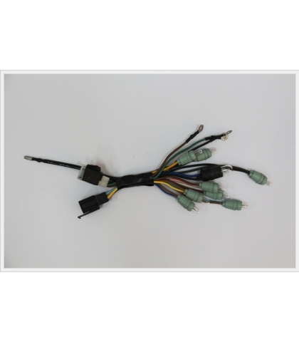 CORD_005