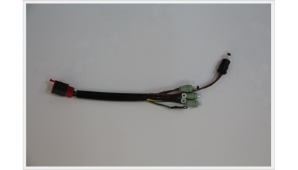 CORD_009
