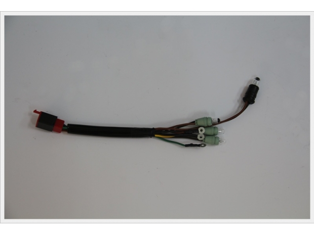 CORD_009